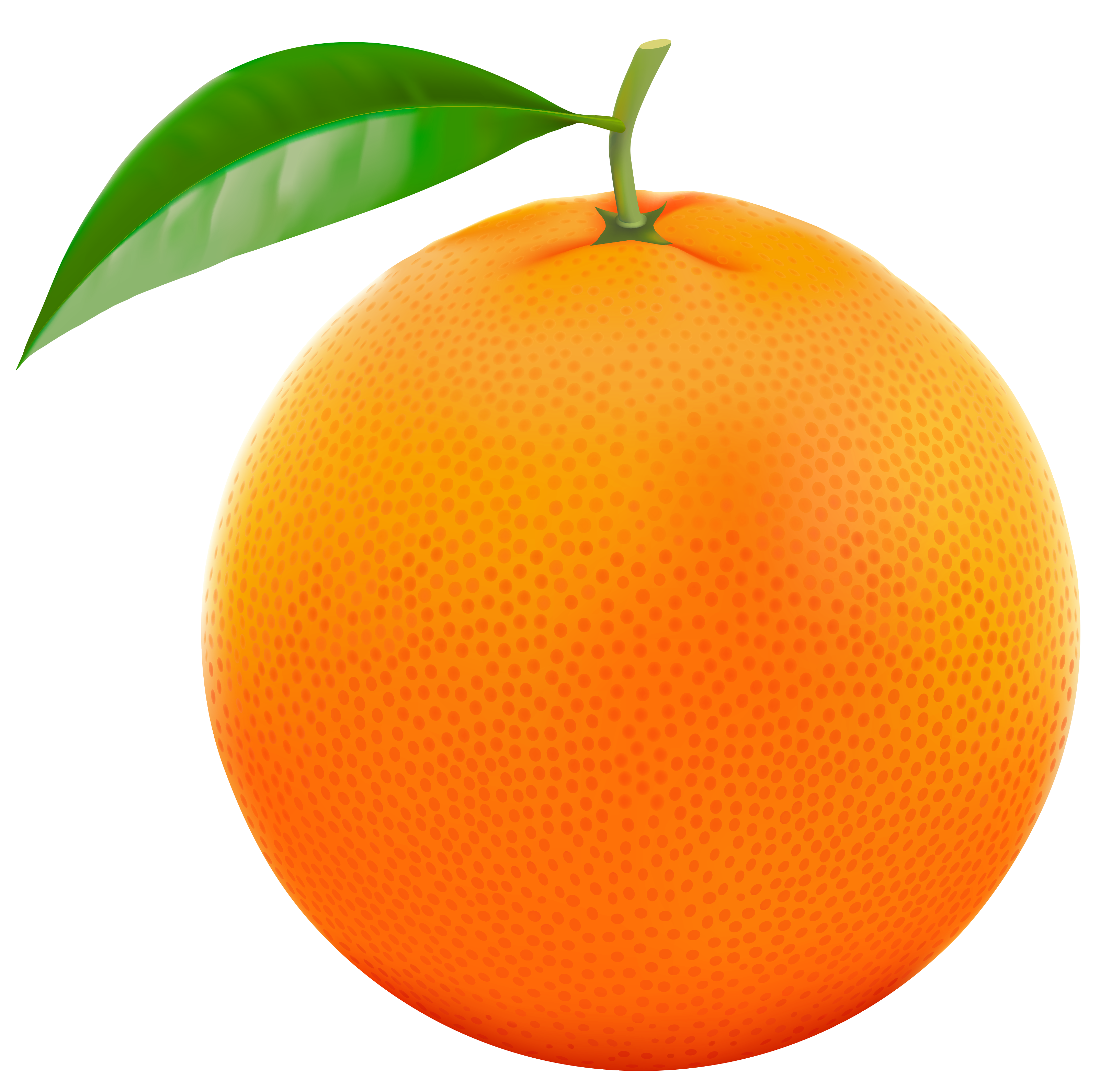 orange clipart transparent clipground #15311