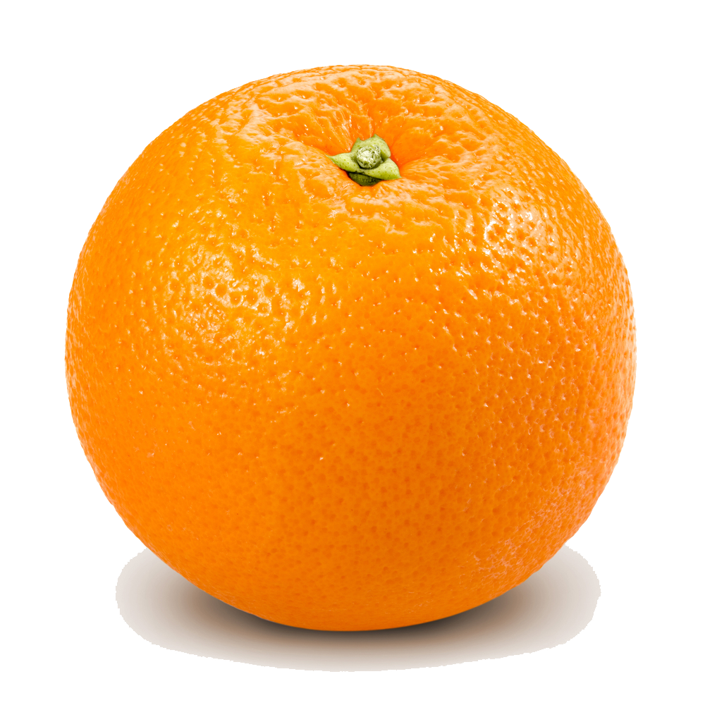 orange png transparent images download clip art #15285