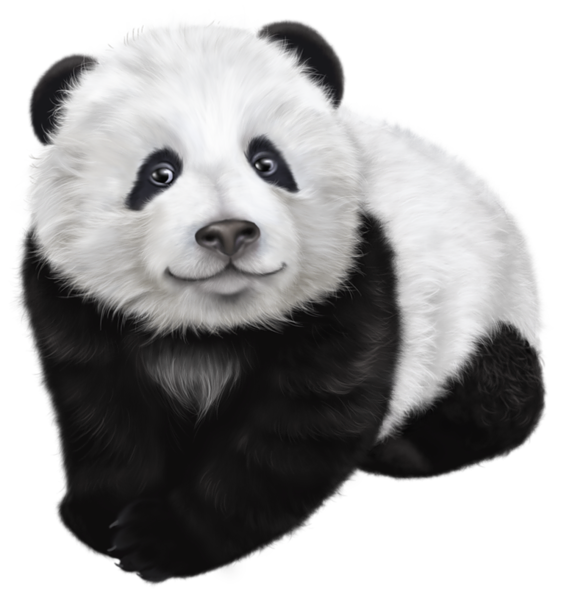 Panda PNG Animal Images, Panda Bear, Cute Panda, Baby Panda Download ...