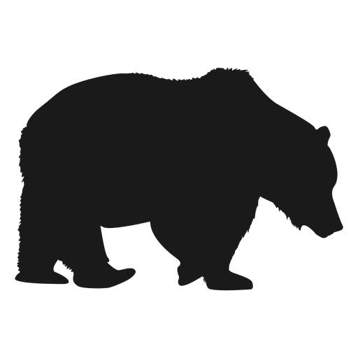 Polar Bear PNG Images Transparent Background - Free Transparent PNG Logos