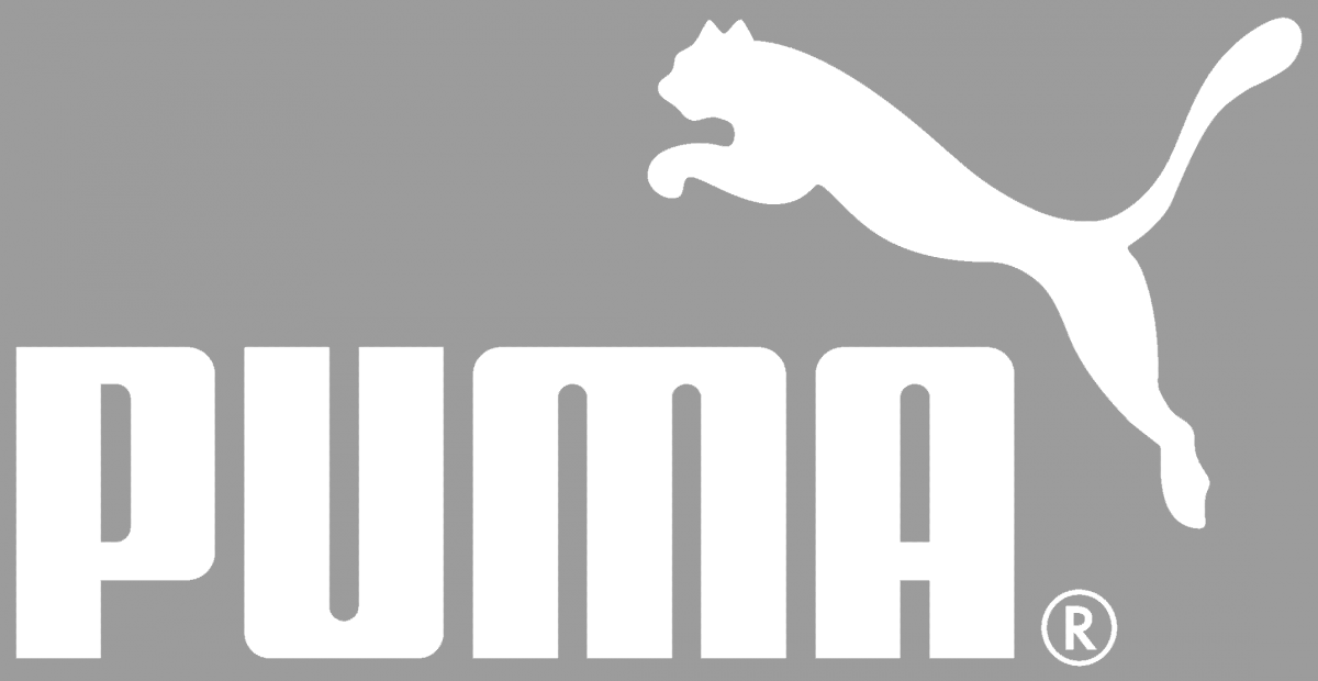 Shield Emblem Template With Puma Head. Design Elements For Logo, Label,  Emblem, Sign, Brand Mark. Vector Illustration. Royalty Free SVG, Cliparts,  Vectors, and Stock Illustration. Image 70088431.