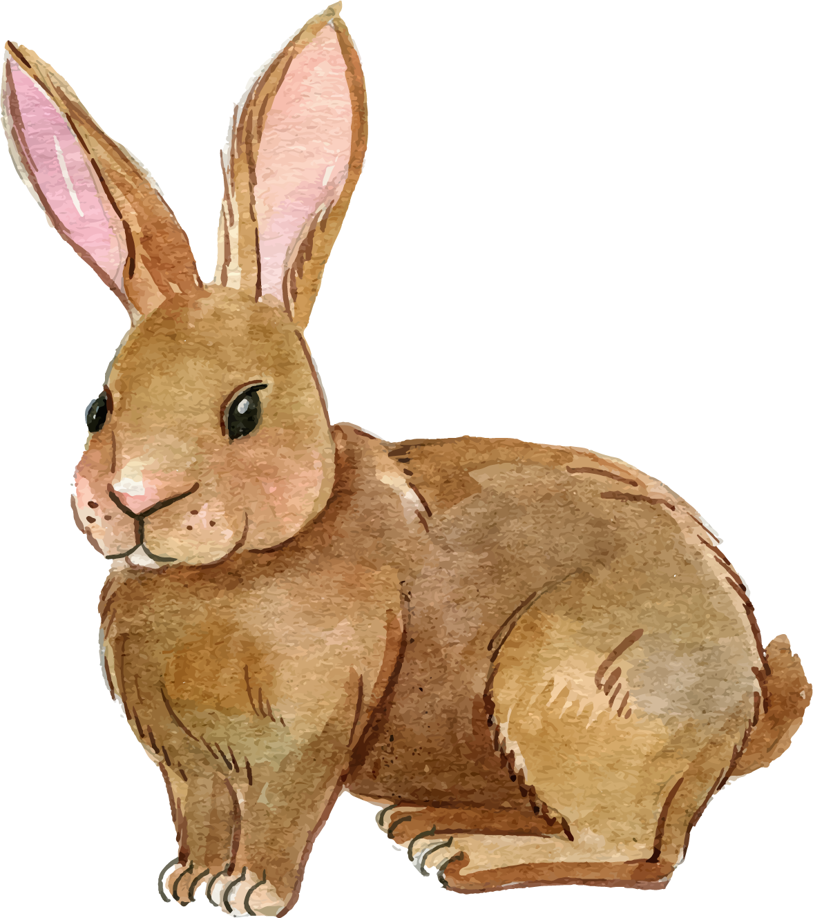 rabbit png transparent images png only #16968