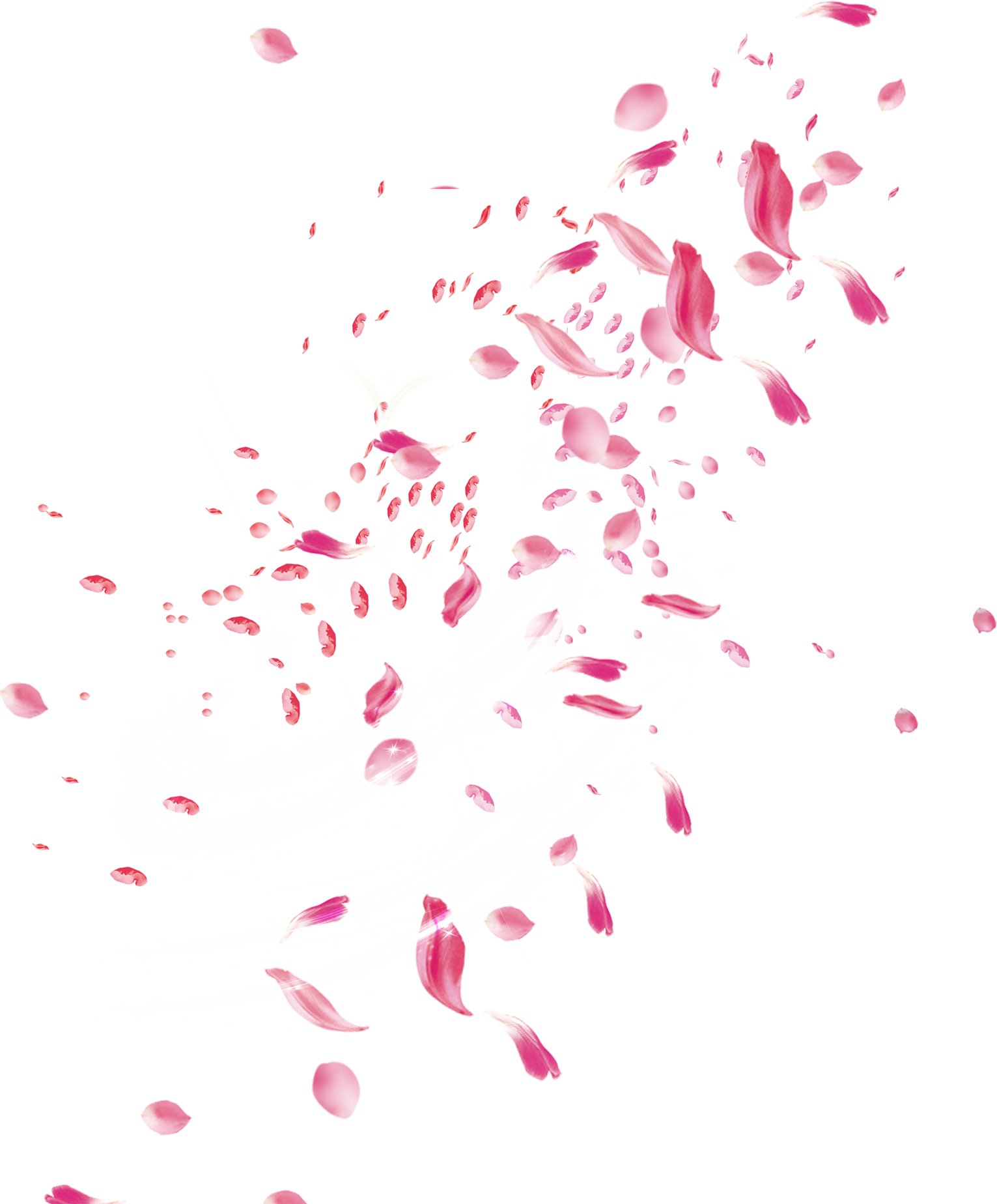 Rose Petals Transparent PNG, Rose Petals Falling, Pink And Red Flower