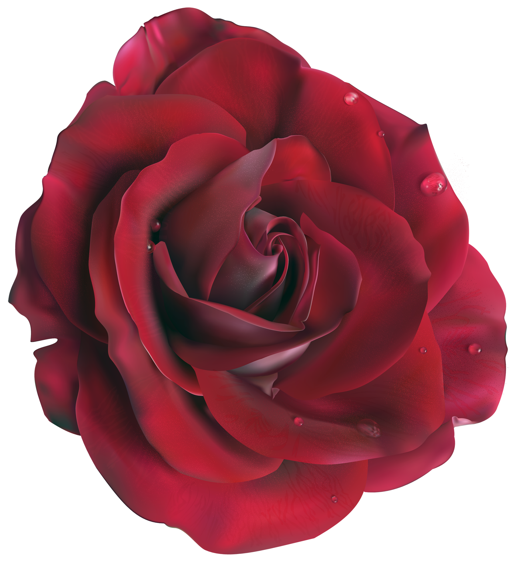 Rose PNG HD Images, Free Rose Clipart Download - Free Transparent PNG Logos