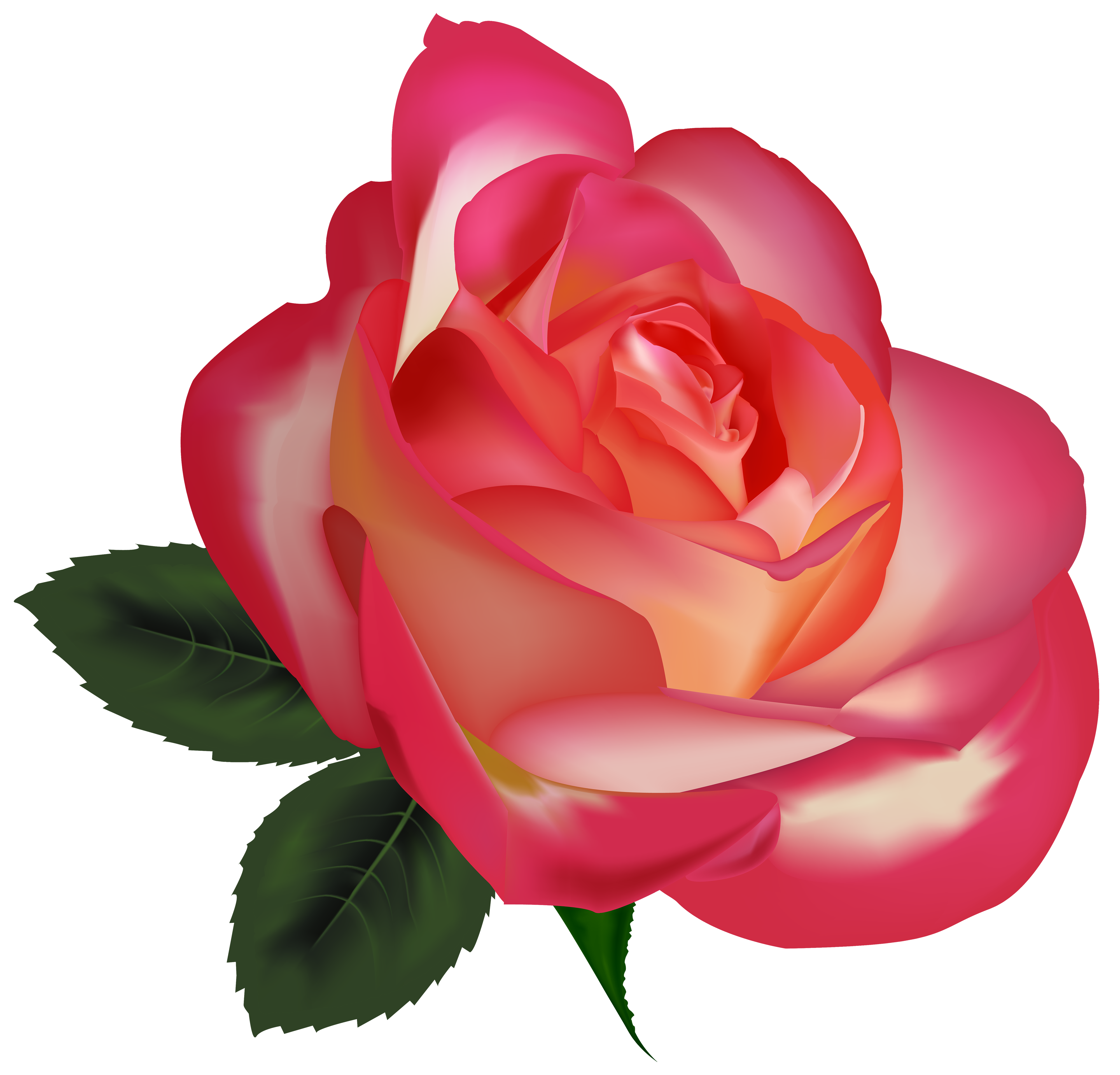 Rose Png Hd Images Free Rose Clipart Download Free Transparent Png Logos