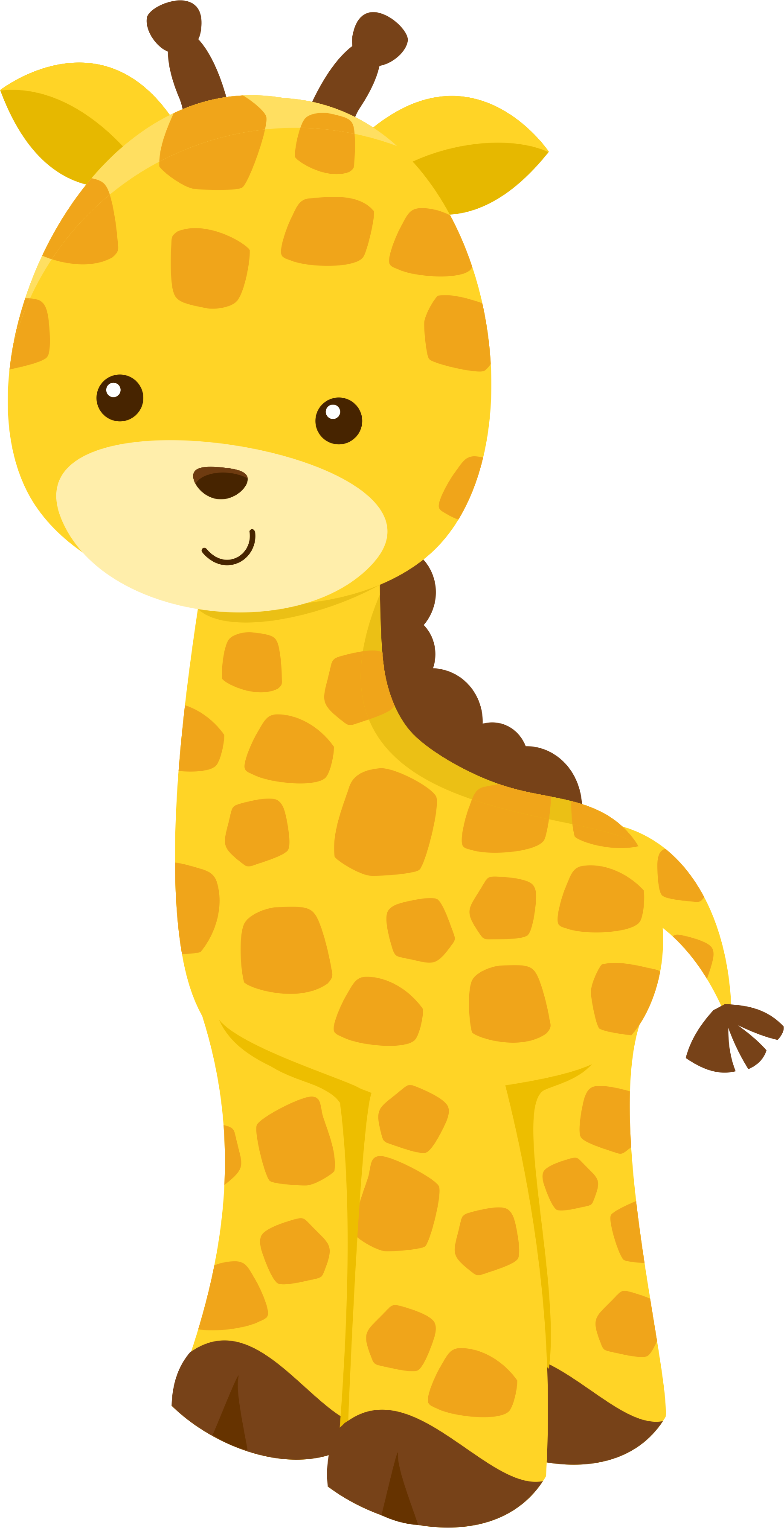 Safari