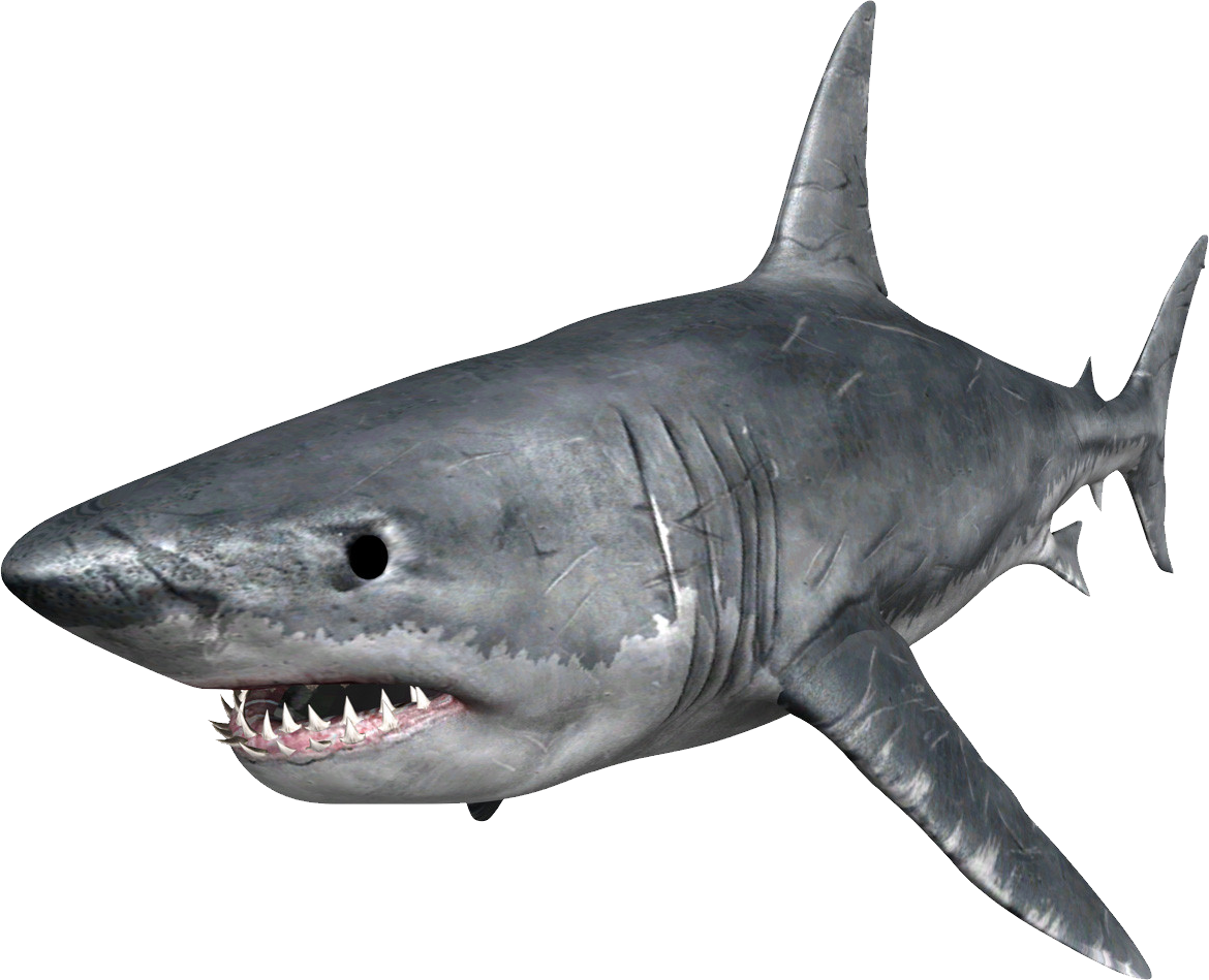 scary shark transparent #8508