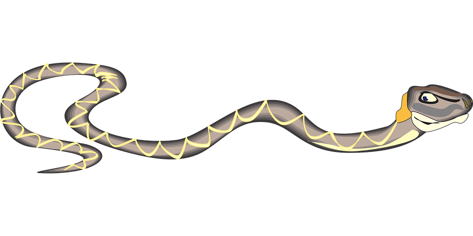 snake python isolated 3d 24486015 PNG