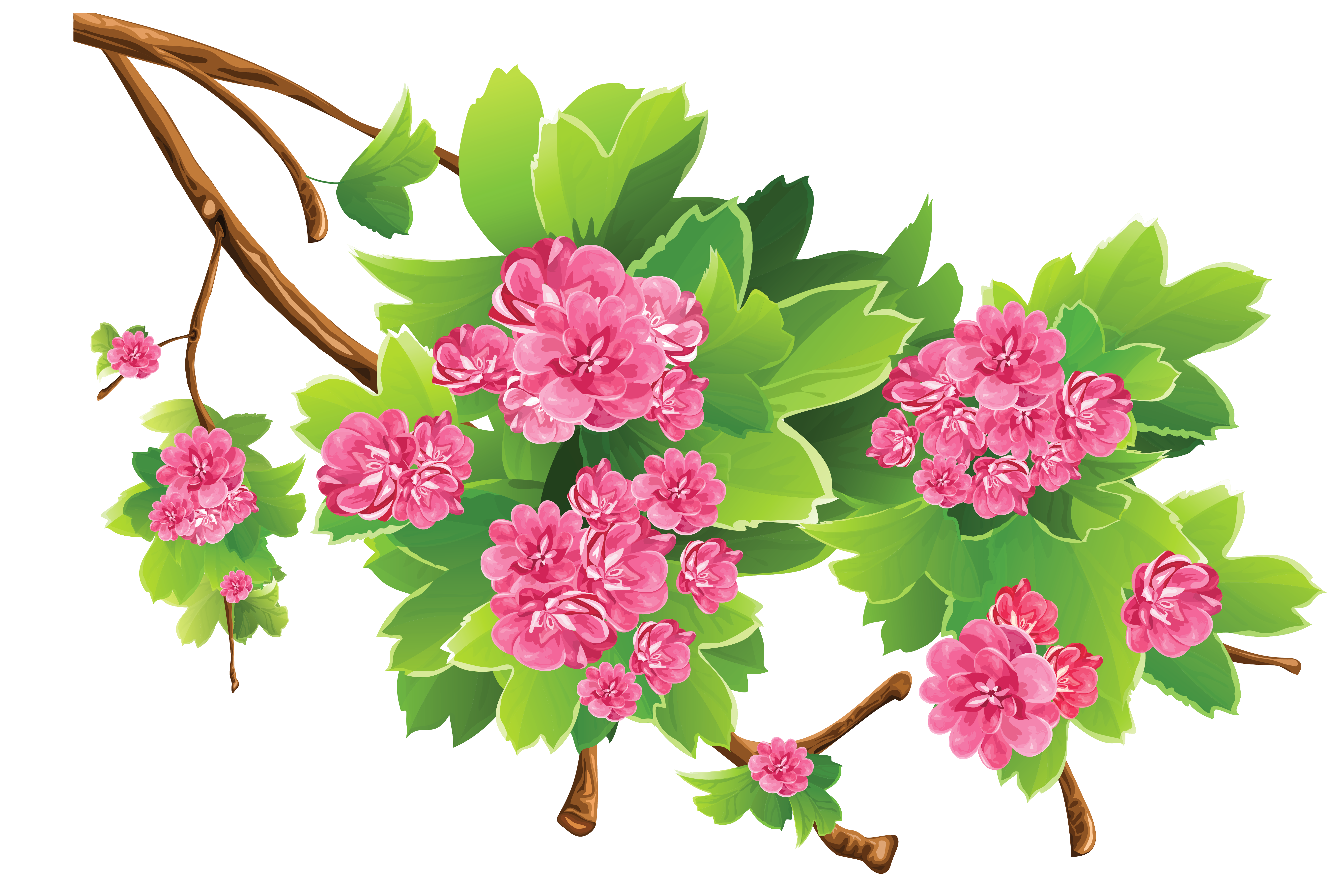 Spring clipart. Free download transparent .PNG