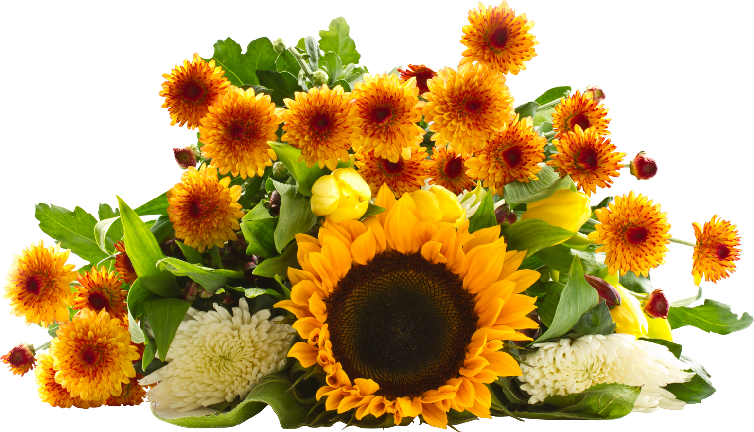 Sunflower, Sunflowers PNG Bouquet Transparent Images Free Download ...