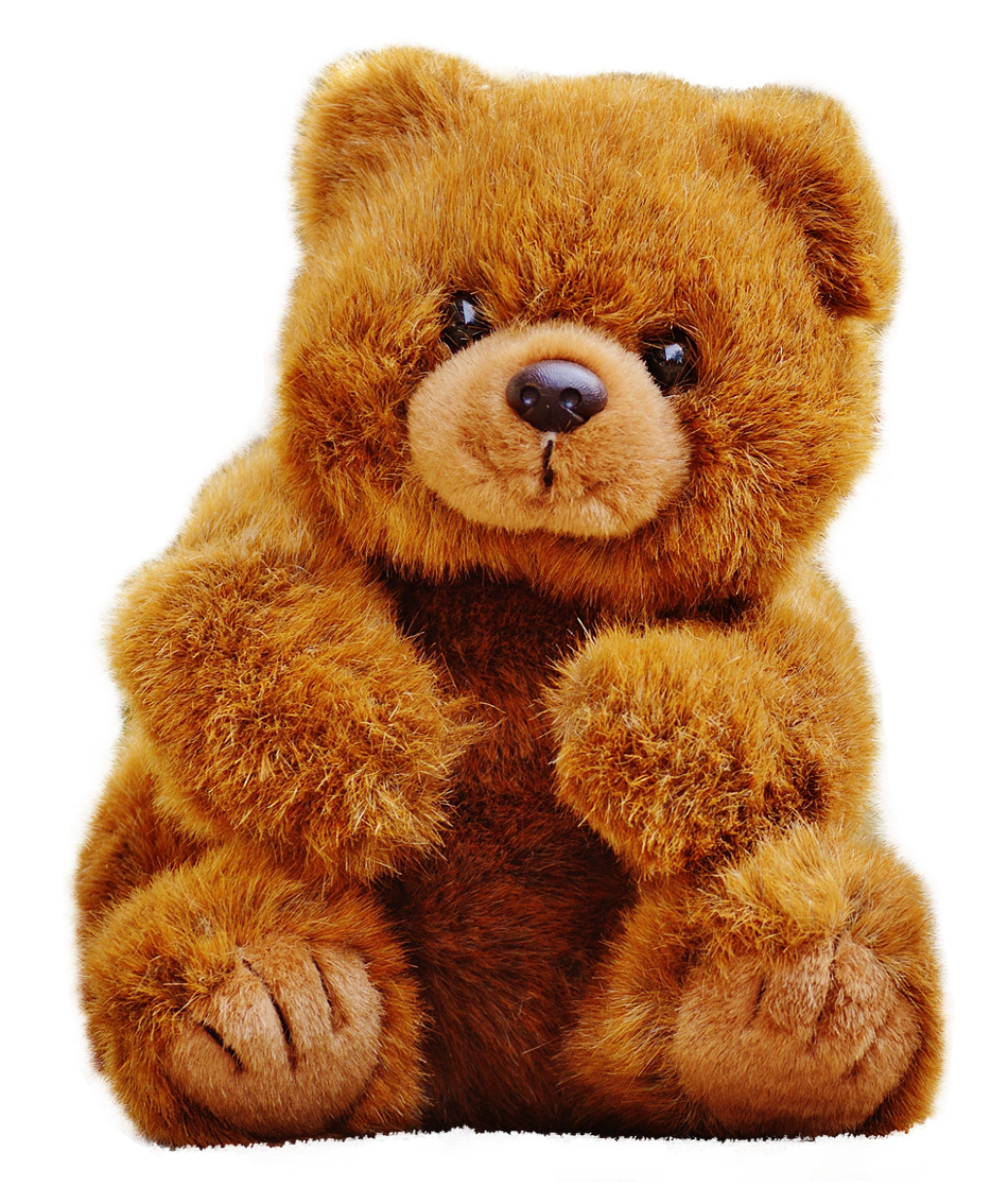 Teddy Bear