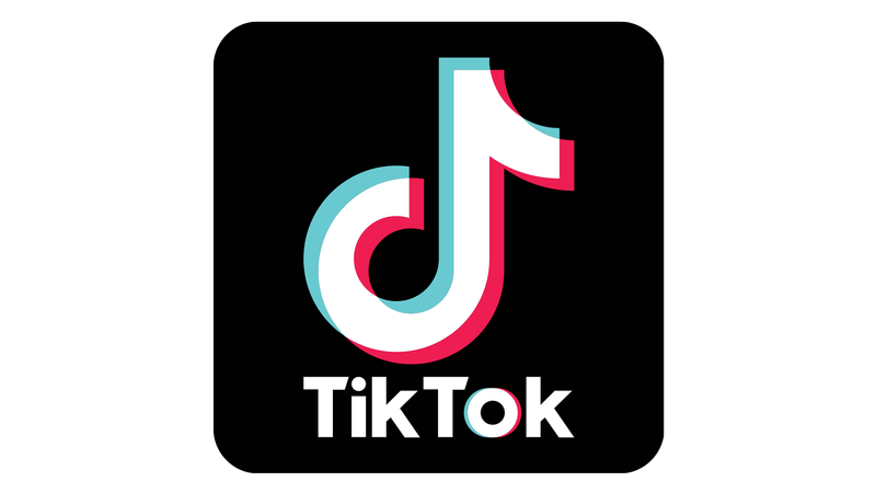 Tik Tok Logo PNG, Tiktok - Free Transparent PNG Logos