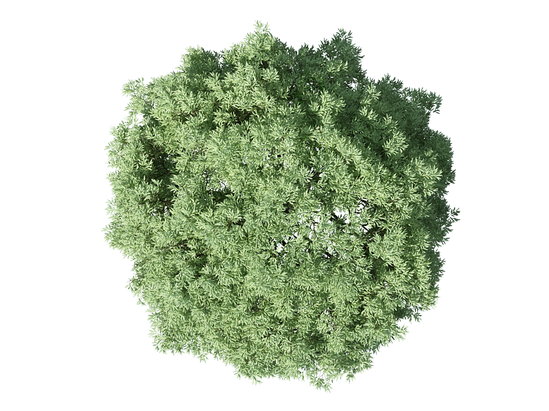 Featured image of post Tree Top View Png For Photoshop