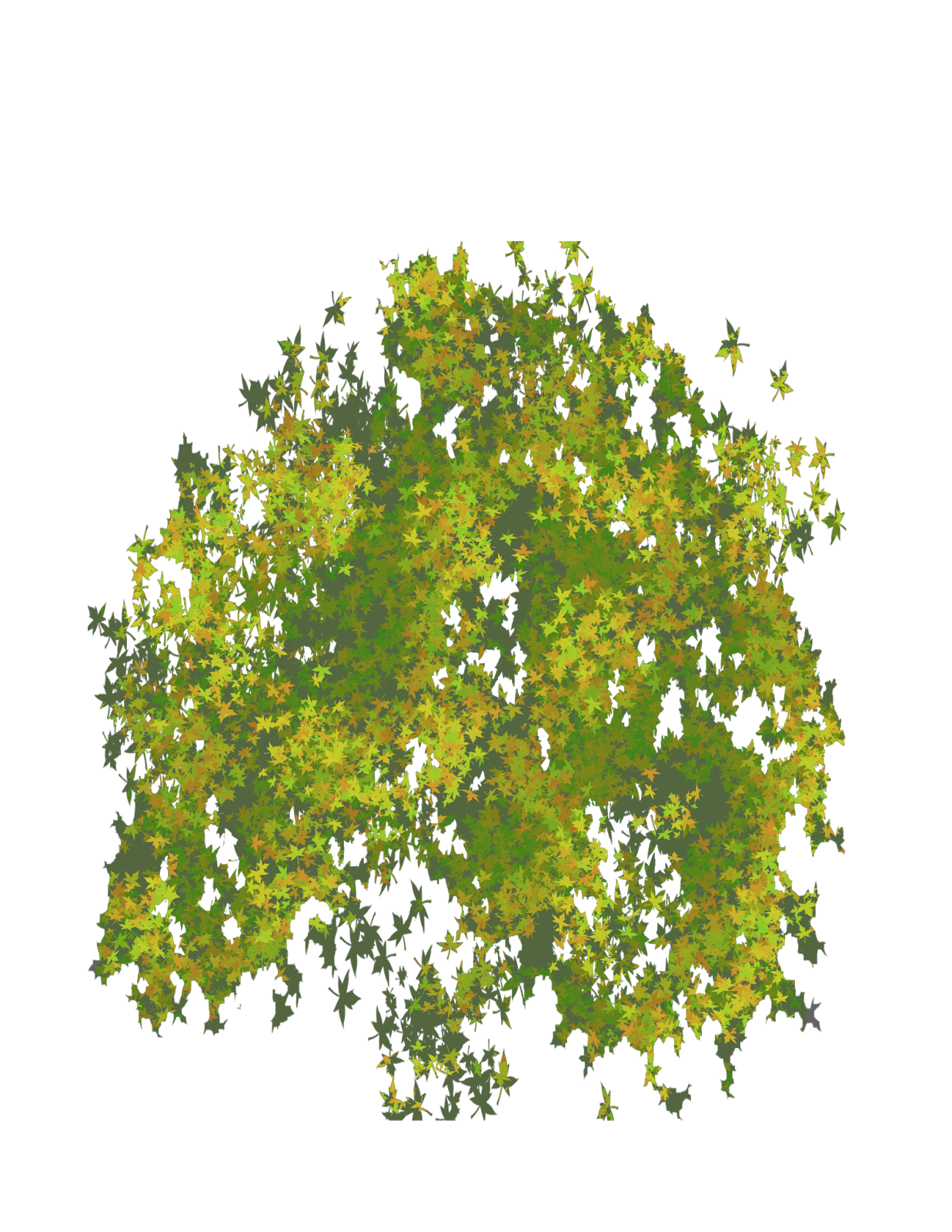 Tree Plan View Png : Photoshop tree top view png. - Instituto