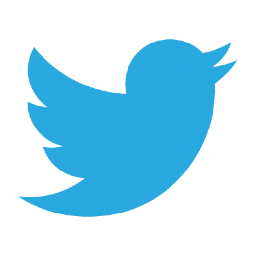 The twitter logo