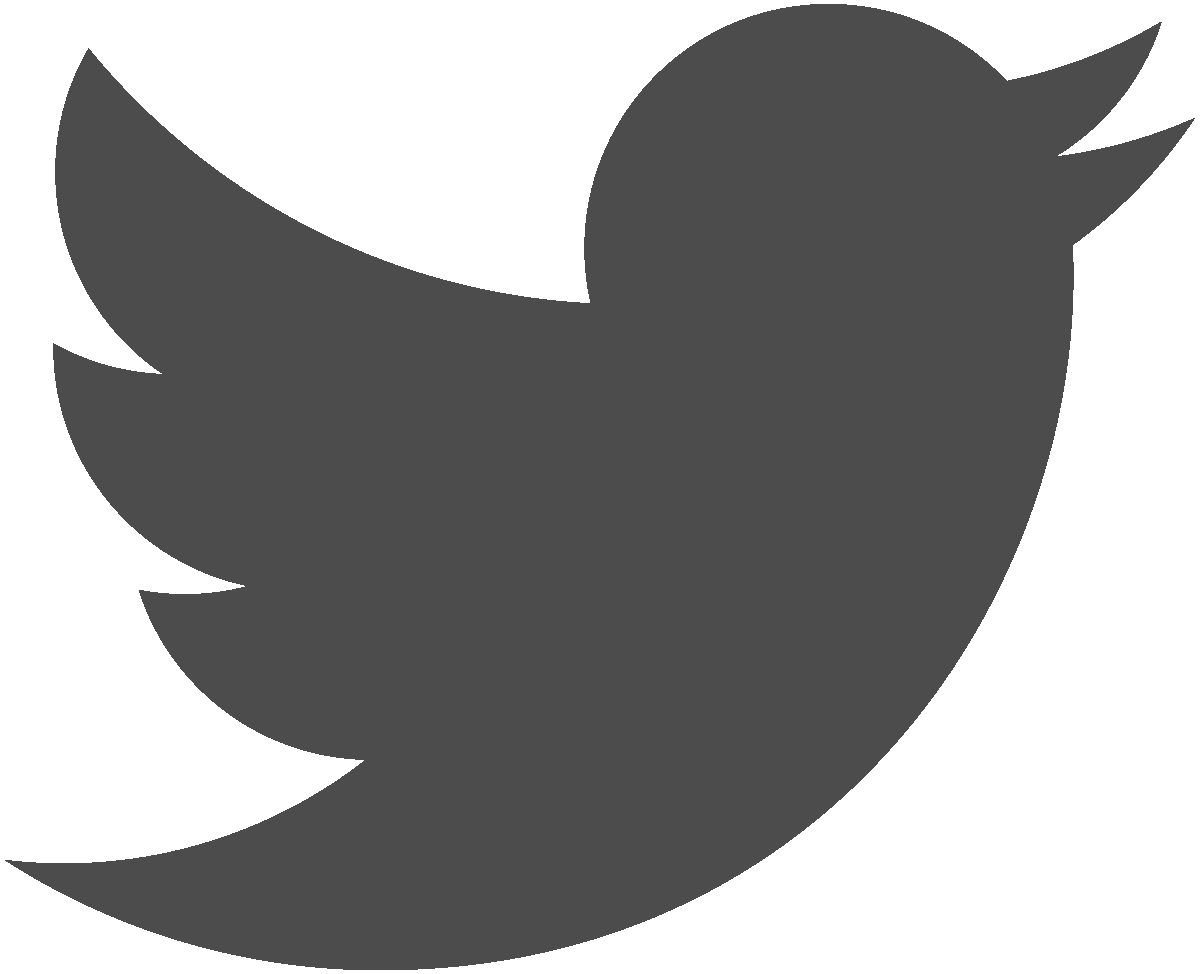 Twitter Logo White Transparent