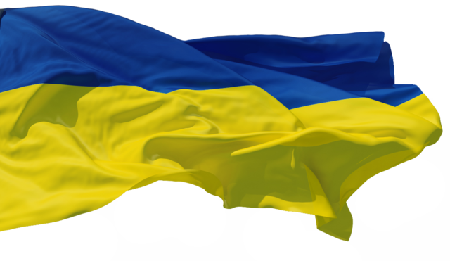 Ukraine Flag