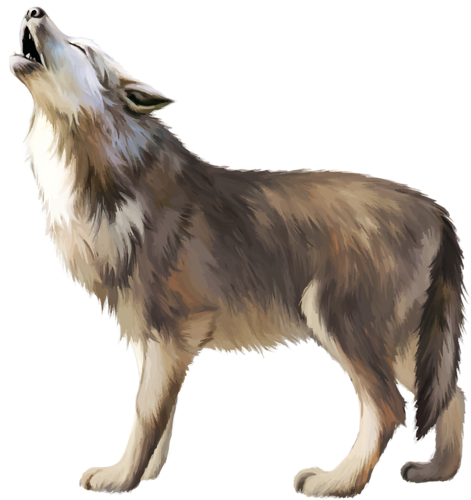 Wolf PNG Image - PurePNG  Free transparent CC0 PNG Image Library