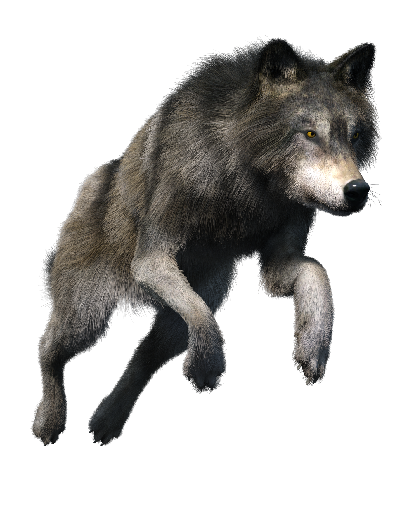 Cartoon Wolf PNG Transparent Images Free Download