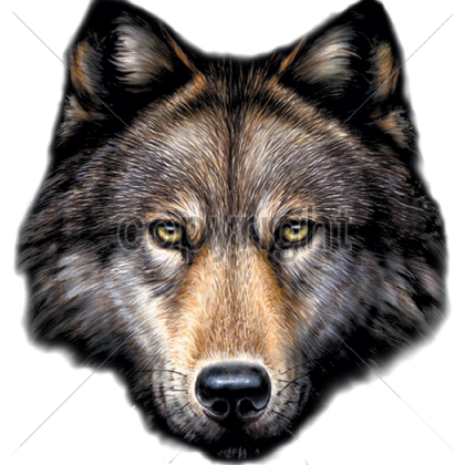 Wolf PNG transparent image download, size: 414x506px
